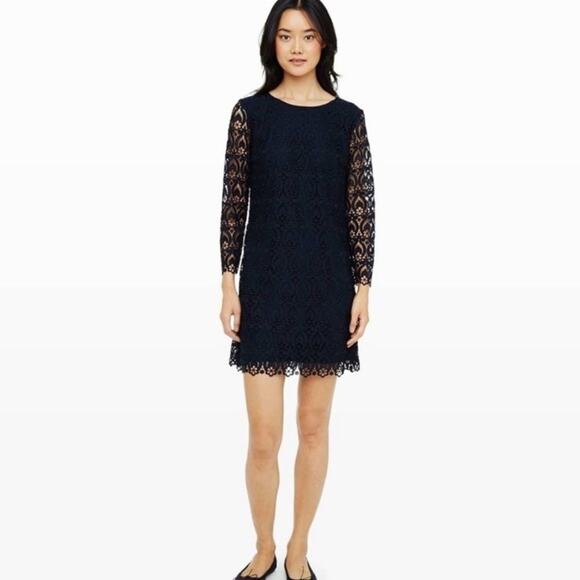 Club Monaco Amalia Dress Size 8 Crochet Lace Whimsigoth Dark Romantic Neutral - Picture 1 of 13
